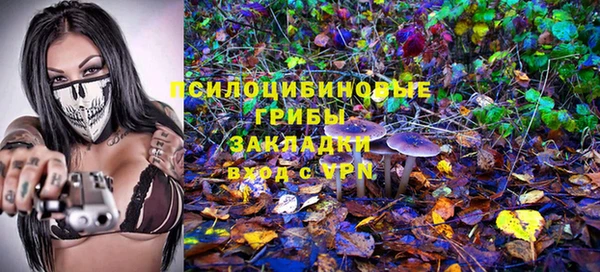 первитин Гусь-Хрустальный